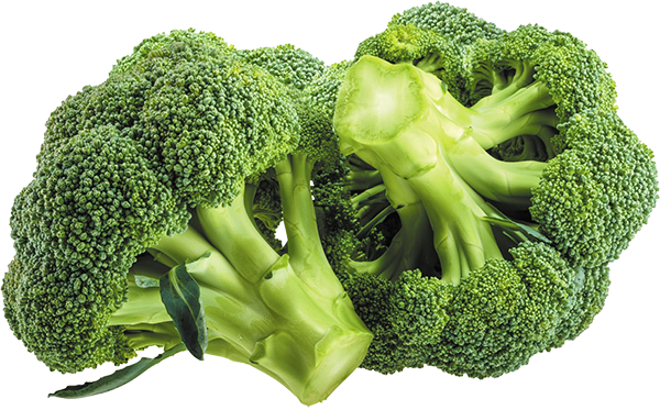 broccoli