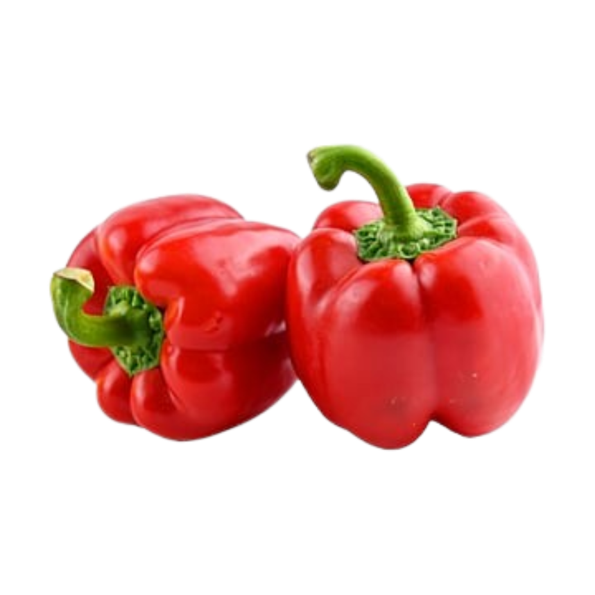 capsicum